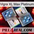 Vigra Xl Max Platinum viagra5